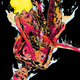 Image: Image Comics; Twisted Romance #1 art by Sarah Horrocks